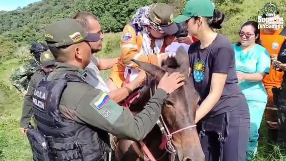 ¡YO NO PAGO, YO DENUNCIO! *GAULA de la Policía Nacional logró el