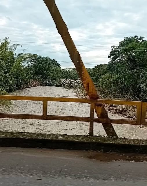 #ReporteCiudadano #Acacías Reportan un árbol caido sobre el cauce del Río Sardinata,