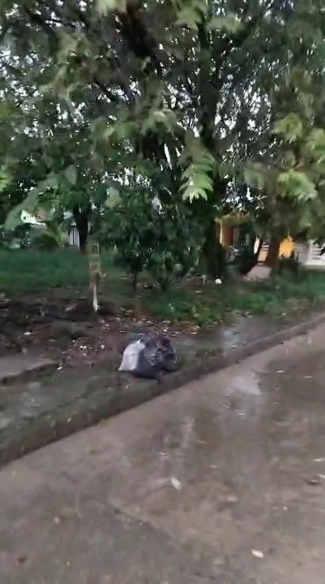 #Acacías Señores de la EMSA Electrificadora del Meta, han teñido todo el