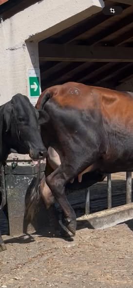 Recompensa hasta de 10 millones de pesos para quien de información sobre