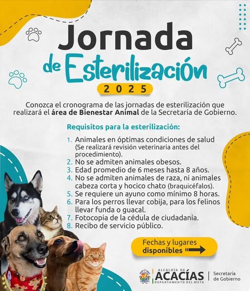 PROTEGEMOS LA VIDA Y EL BIENESTAR ANIMAL Desde la administración municipal presentamos