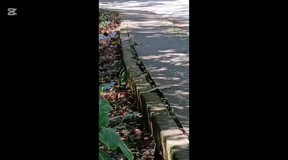 #rioacaciitas DENUNCIA CIUDADANA La comunidad Acacireña denuncia una grave afectación ambiental en