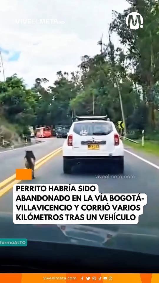 Viajeros que se movilizaban por la vía Bogotá–Villavicencio denunciaron un posible caso