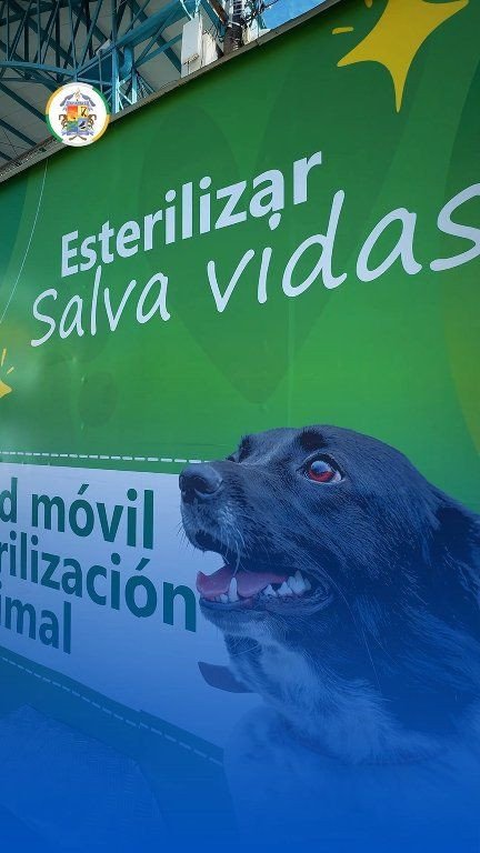 ACACÍAS LIDERA JORNADA HISTÓRICA DE BIENESTAR ANIMAL ¡Acacías sigue dando ejemplo en
