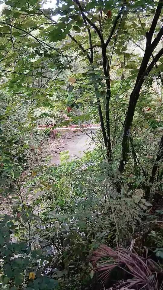 #recuperandoenacacias Basta ya: aguas negras siguen contaminando el río Acacías Este es